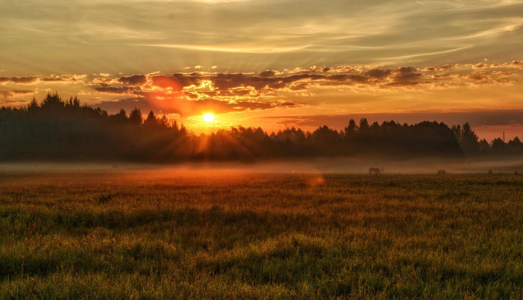 Centrum One * Suwalki